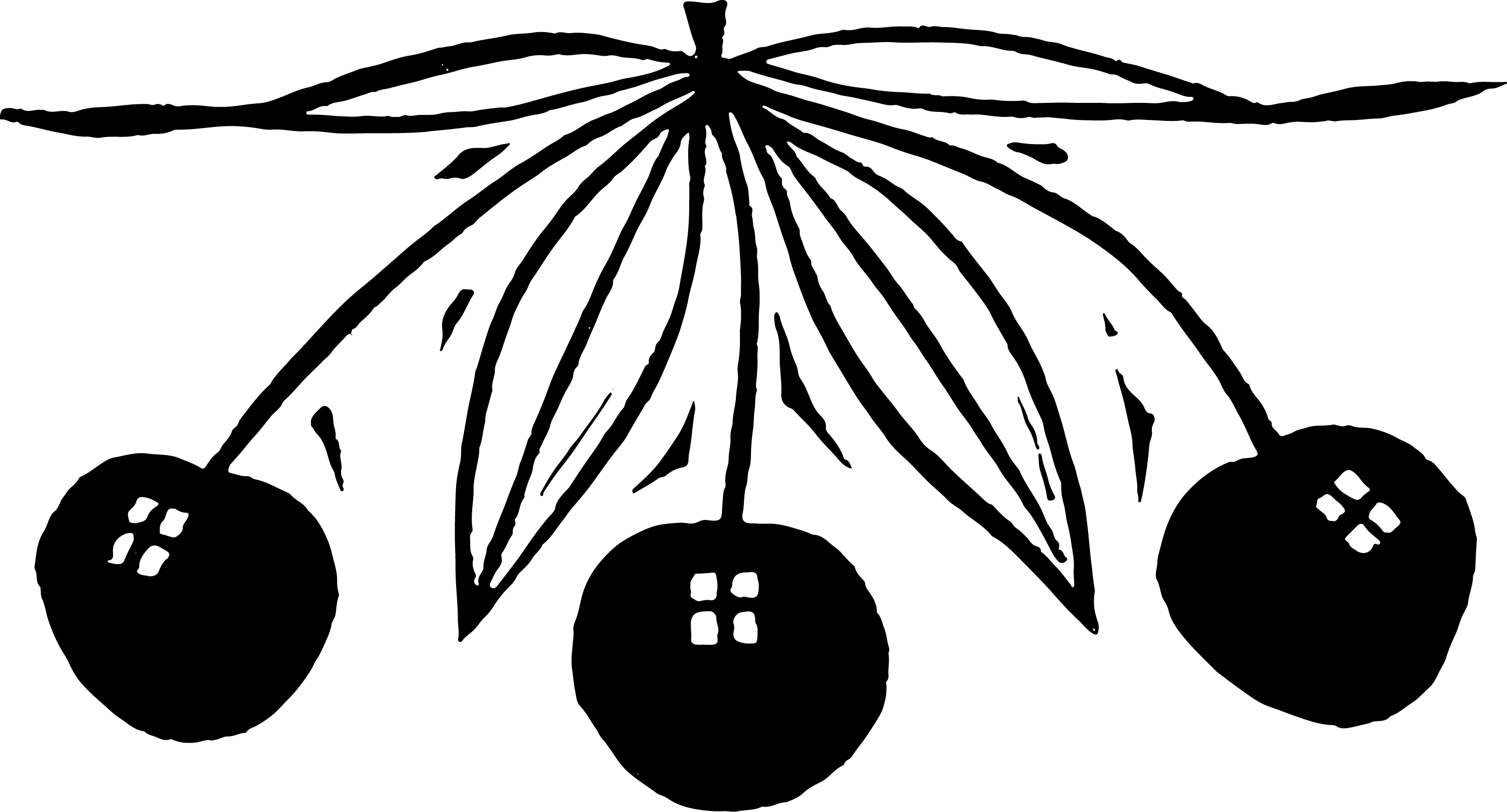 illustration of three cherries, black & white